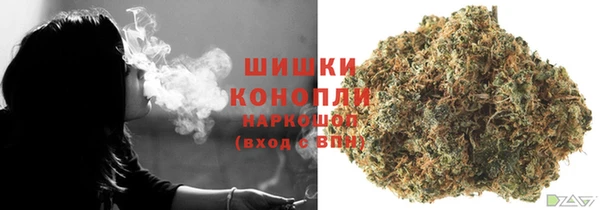 бошки Нягань