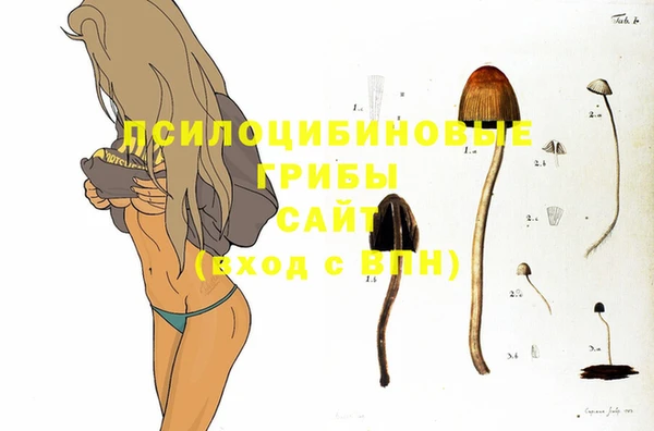 jwh Гатчина