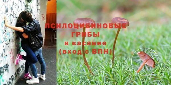 шишки Вуктыл