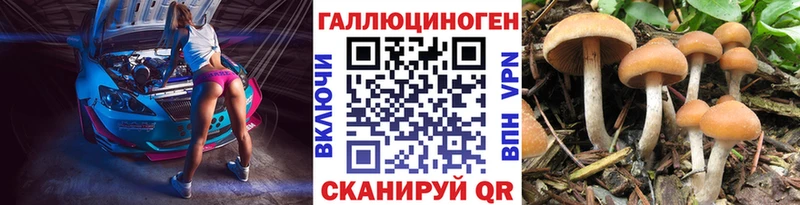 Псилоцибиновые грибы GOLDEN TEACHER  МЕГА как зайти  Котельнич 
