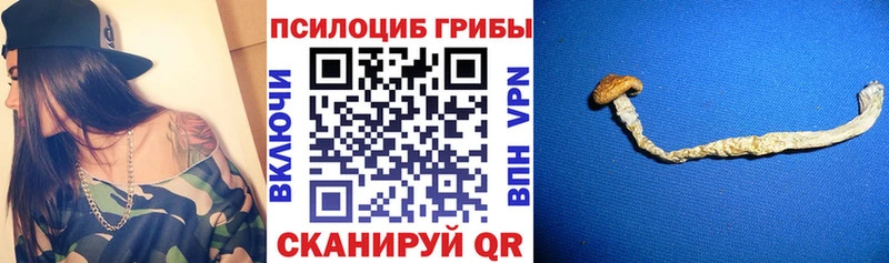 Псилоцибиновые грибы GOLDEN TEACHER Котельнич
